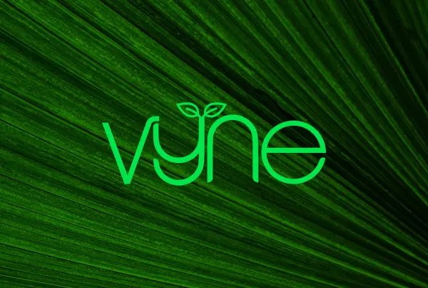 Vyne